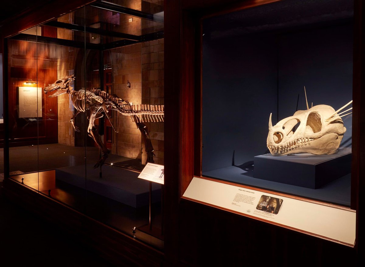‘Fantastic Beasts’ Is Now A Natural History Exhibition (And It’s Due For Australia)