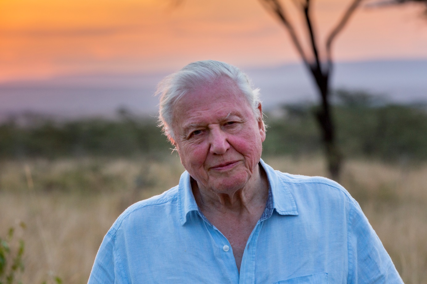 David Attenborough: A Life On Our Planet is one of the best documentaries on Netflix Australia.