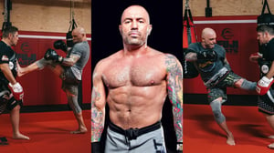 Joe Rogan's Workout & Diet Plan Isn't For The Faint-Hearted