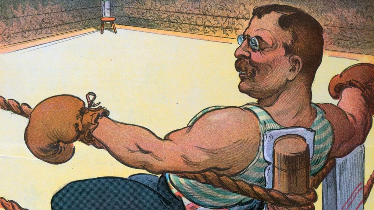 US President Theodore Roosevelt Was The First MMA Fighter