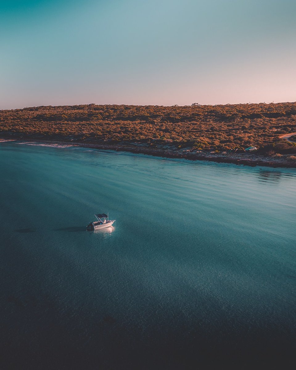 South Australia unexpected