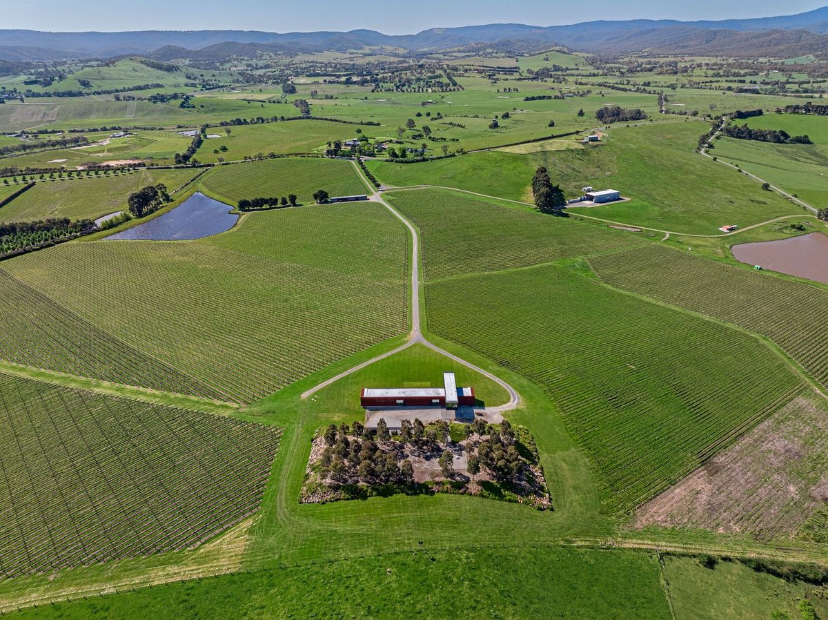 160 Old Healesville Road Tarrawarra