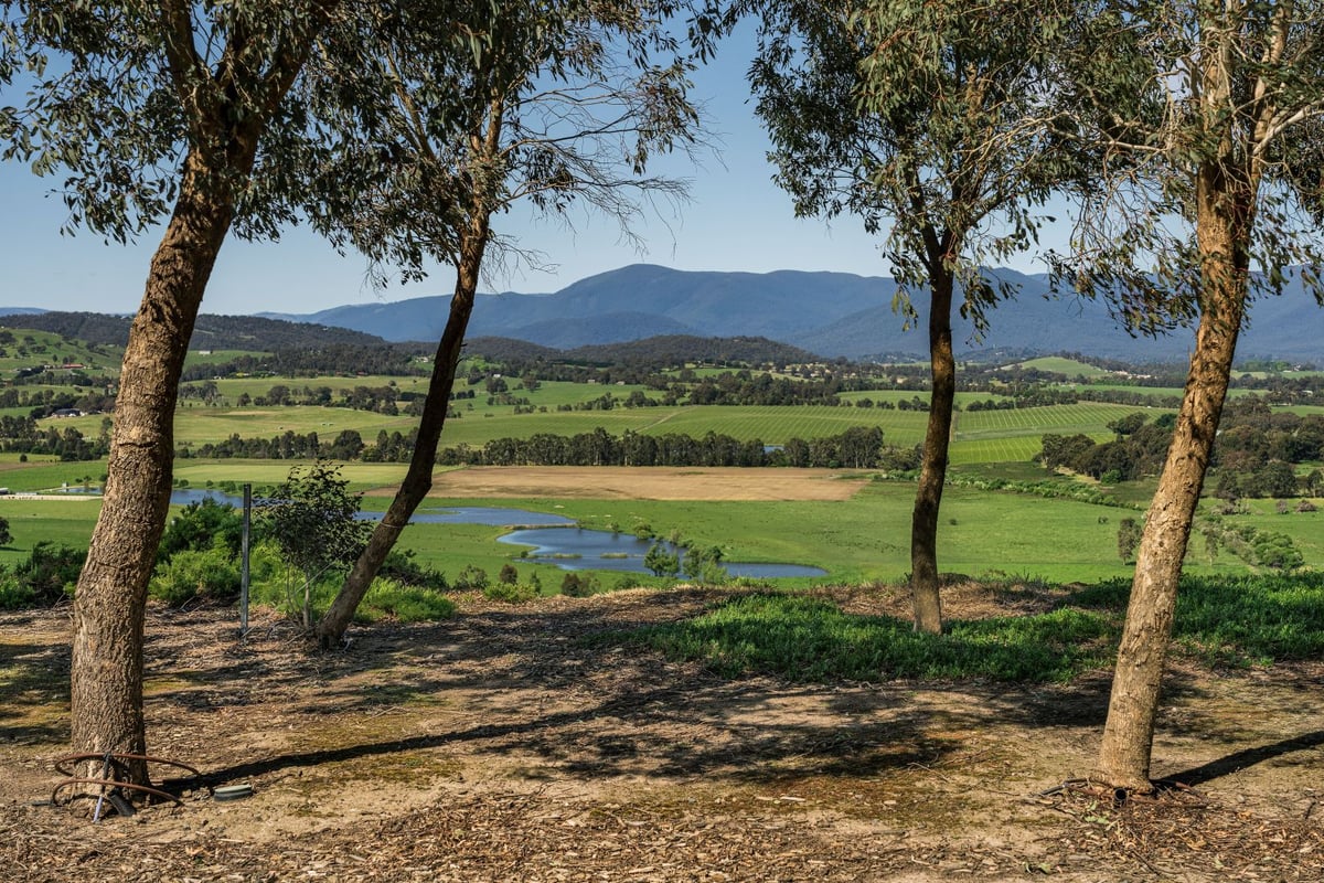 160 Old Healesville Road Tarrawarra