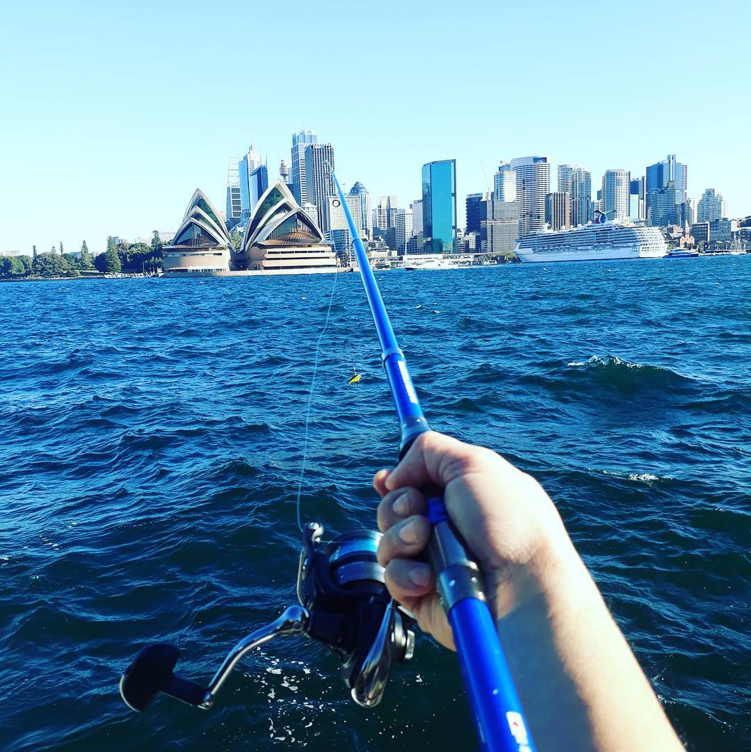 sydney harbour fishing tours