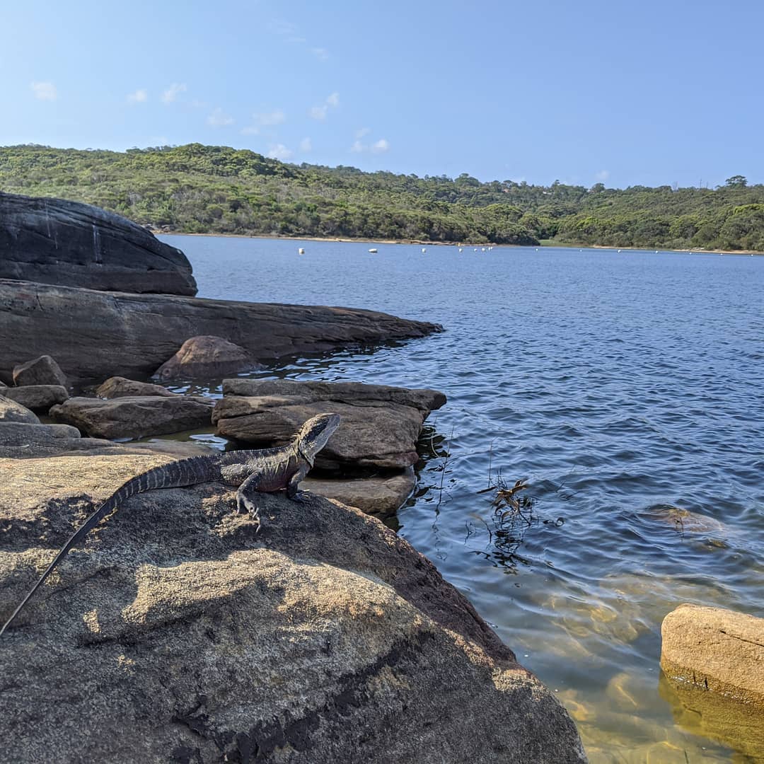 The 12 Best Fishing Spots To Cast Your Line In Sydney