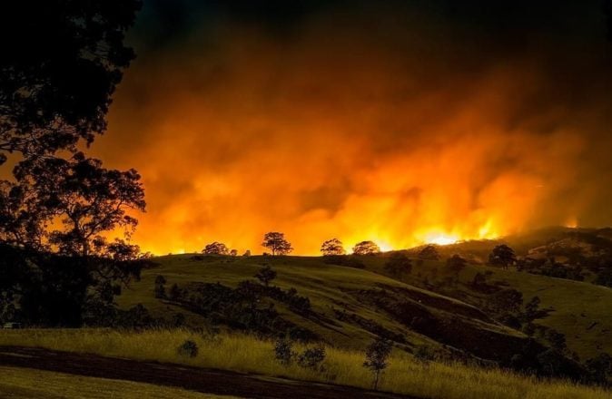 Aussie Vineyards Destroyed By Bushfires Need You To Buy Their Wines