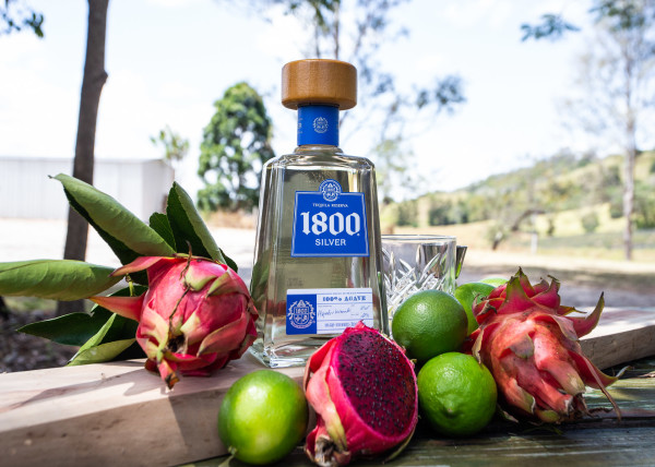 1800 Tequila Presents: The Best Margarita In Australia