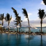 A group of palm trees next to a body of water