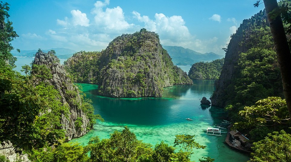 A body of water surrounded by trees with Raja Ampat Islands in the background