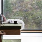 A cat sitting on top of a table next to a window