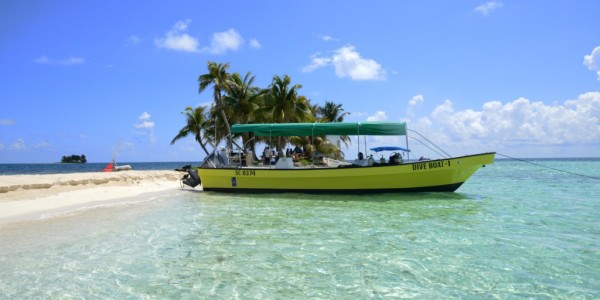 Top 6 Destinations to Swim With Whale Sharks