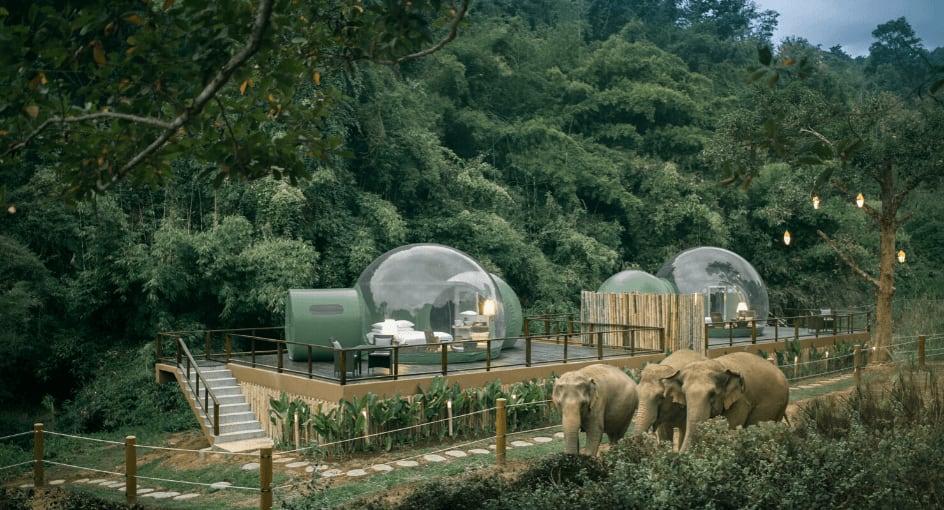 Sleep In A Bubble At Thailand’s Anantara Golden Triangle Elephant Camp & Resort