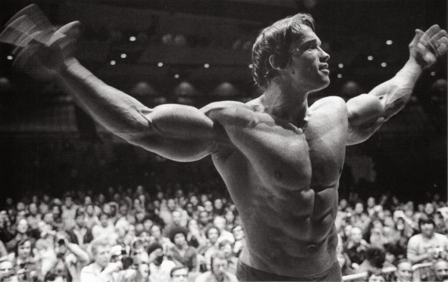 12 Brilliant Life Lessons From Arnold Schwarzenegger
