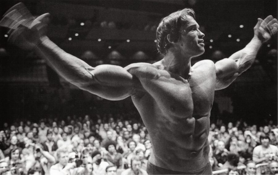 Arnold Schwarzenegger quotes