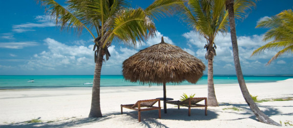 Top 6 Destinations to Swim With Whale Sharks