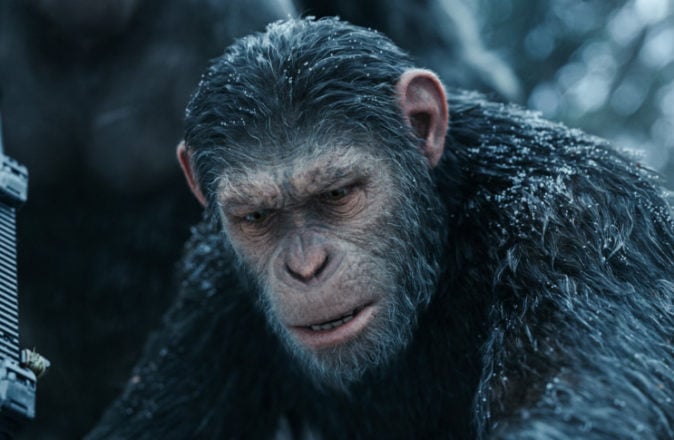 Becoming An Ape For A Day With The VFX Masters At Weta Digital