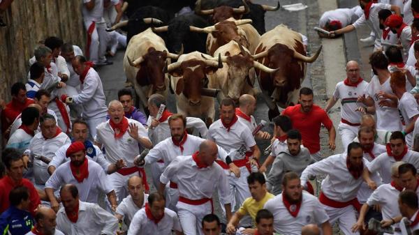 Running With The Bulls In Pamplona: What You Need To Know