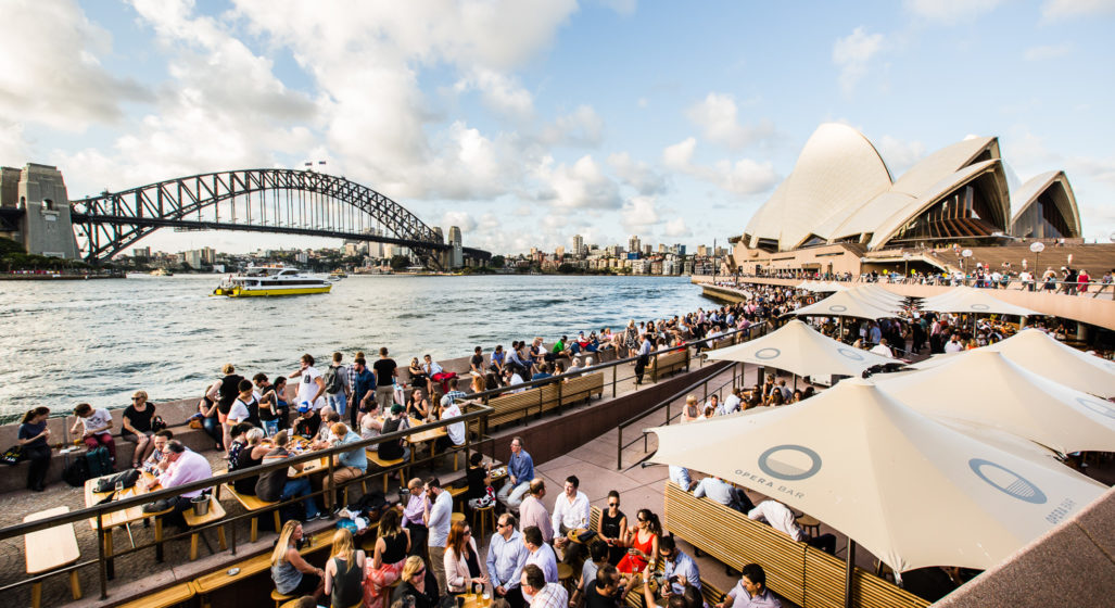 Opera Bar Are Shucking $1 Oysters This November
