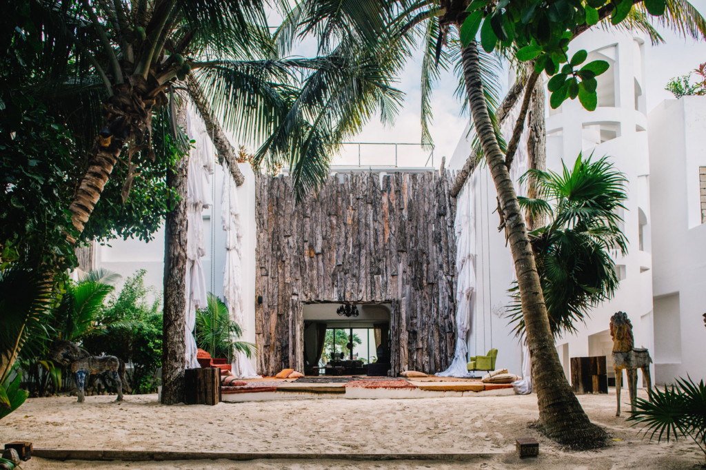 A tree in front of a palm tree