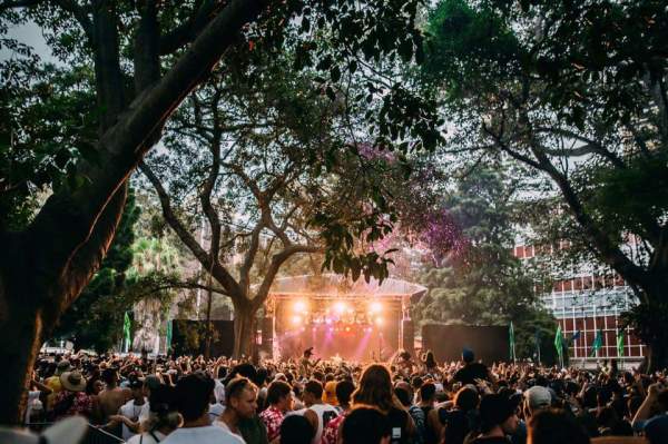 Field Day Pulls Off A Summer Music Festival In The CBD