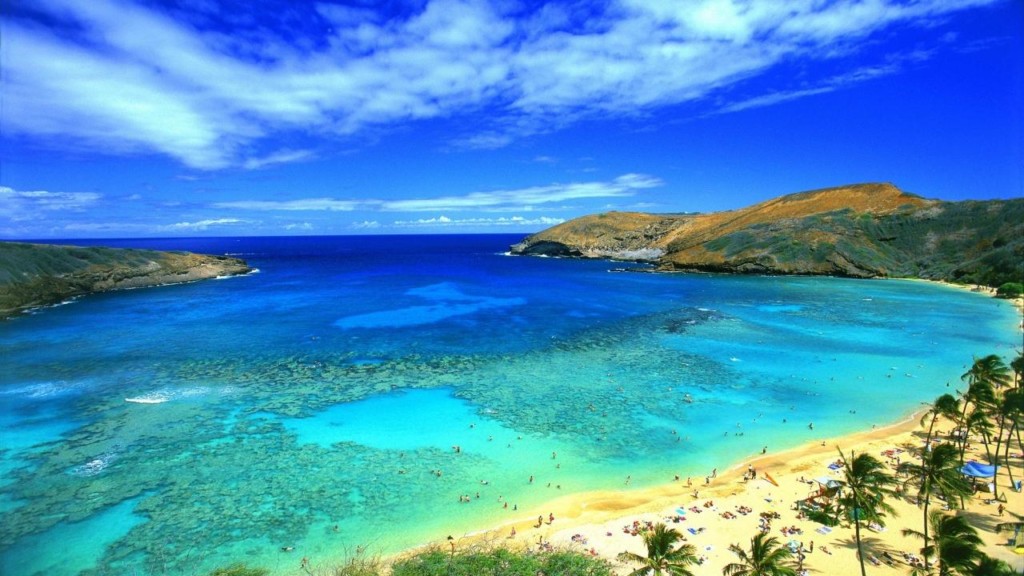 A beach next to a body of water