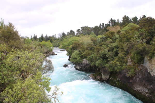 The Ultimate New Zealand North Island Road Trip