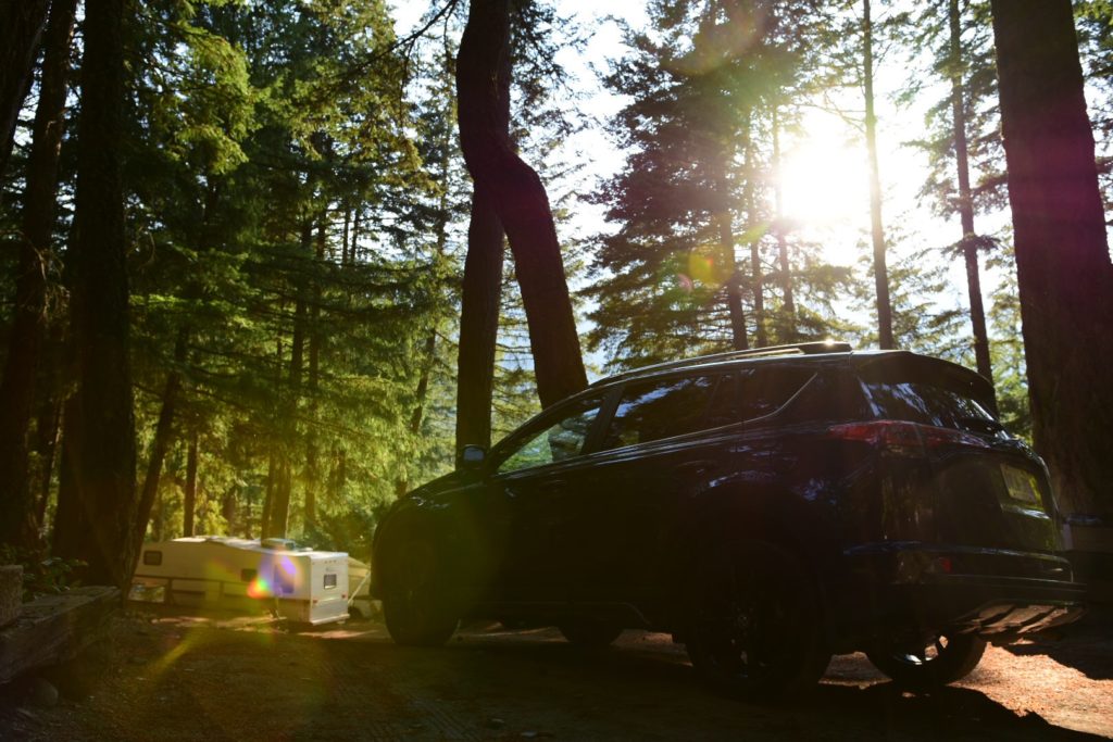 A car parked in front of a tree