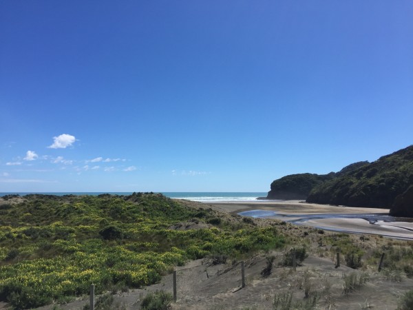 The Ultimate New Zealand North Island Road Trip