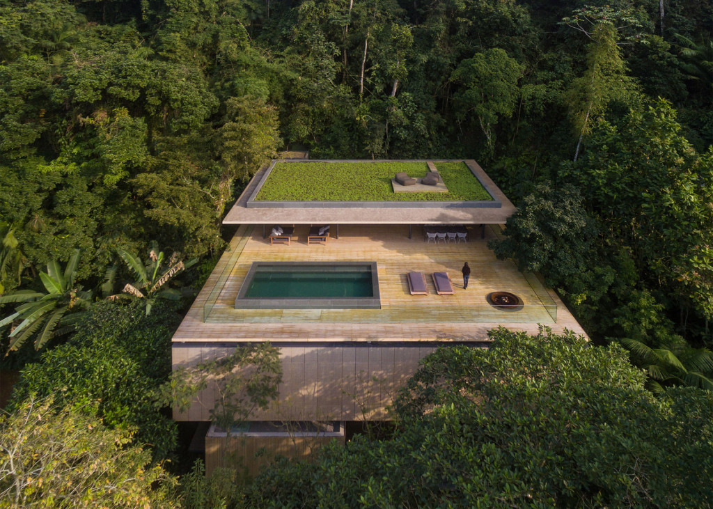 A boat sitting on top of a lush green forest