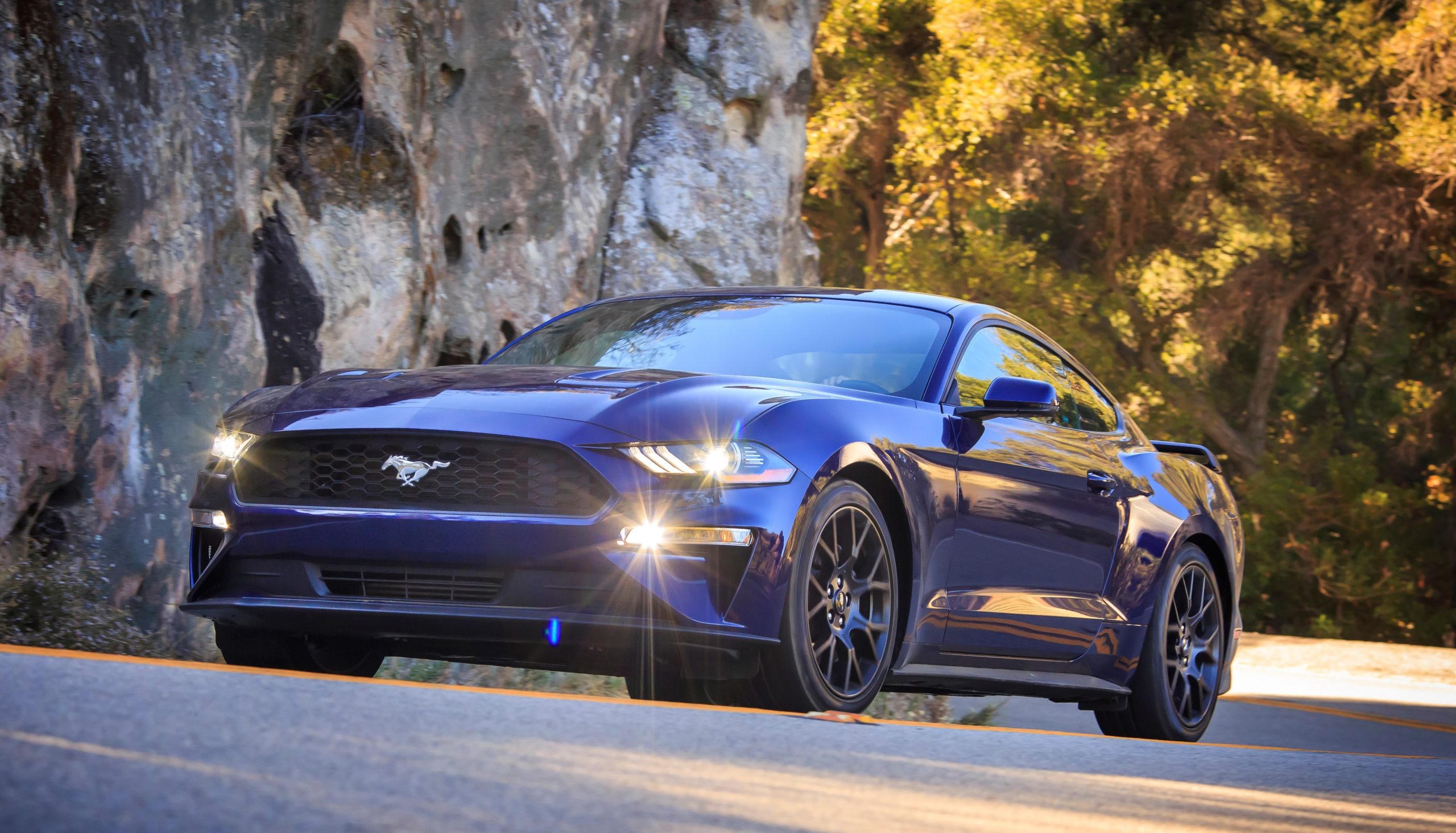 Ford’s New Mustang Will Arrive Mid-2018