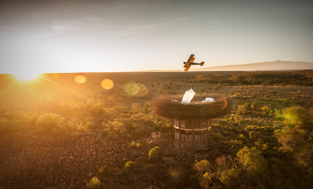 The Safari Nest Hotel With A Real Bird’s-Eye View