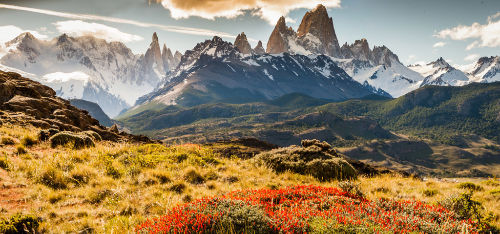 A field with Fitz Roy in the background