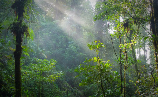Need A Digital Detox? Switch Off With One Of These Epic Off-The-Grid Adventures