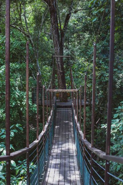 The Datai Langkawi Review: One Of The World’s Greatest Places