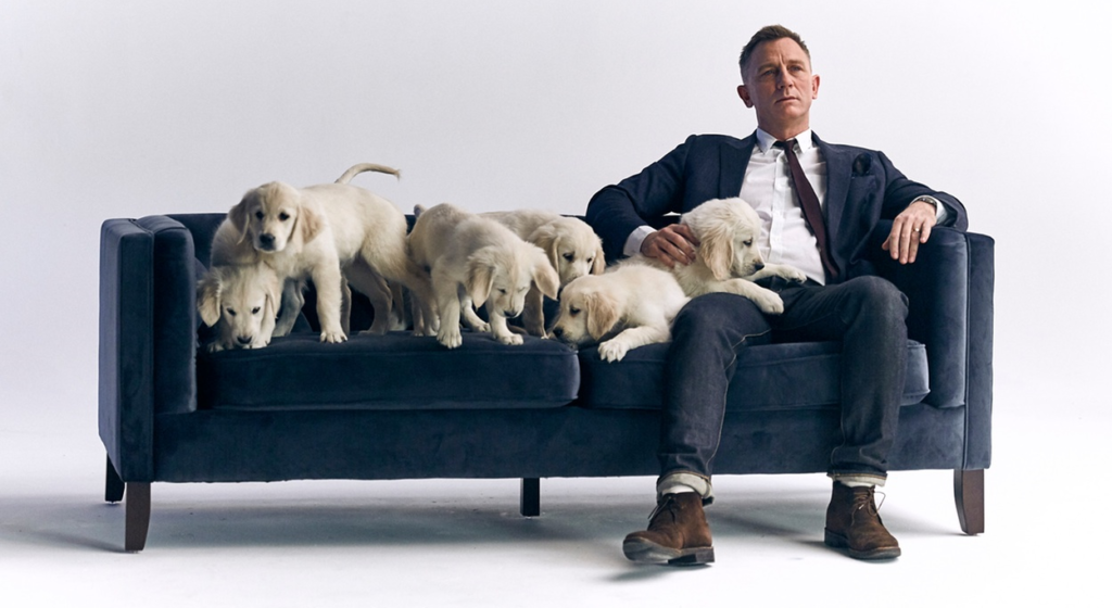 Daniel Craig (and Some Puppies) are Giving Away an Aston Martin