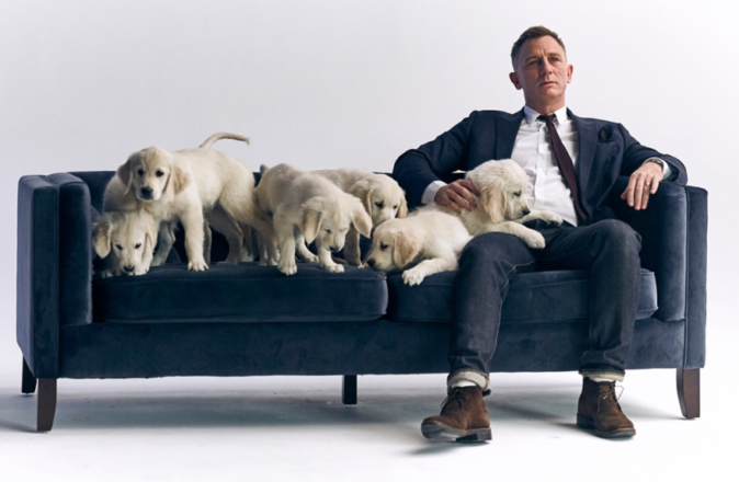 Daniel Craig (and Some Puppies) are Giving Away an Aston Martin