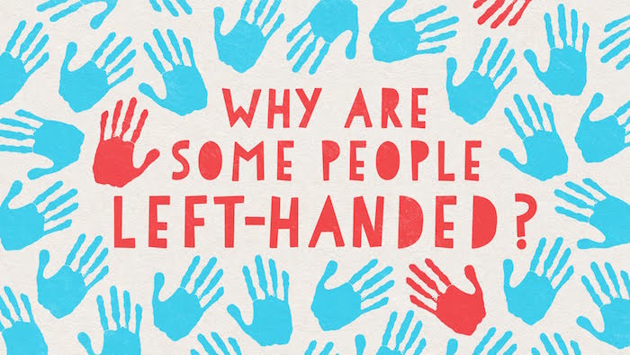 Ever Wondered Why Some People Are Left Handed?