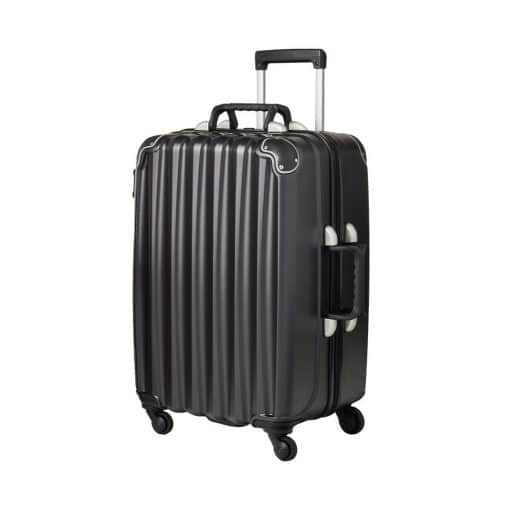 The VinGardeValise Suitcase Can Carry 12 Bottles Of Wine