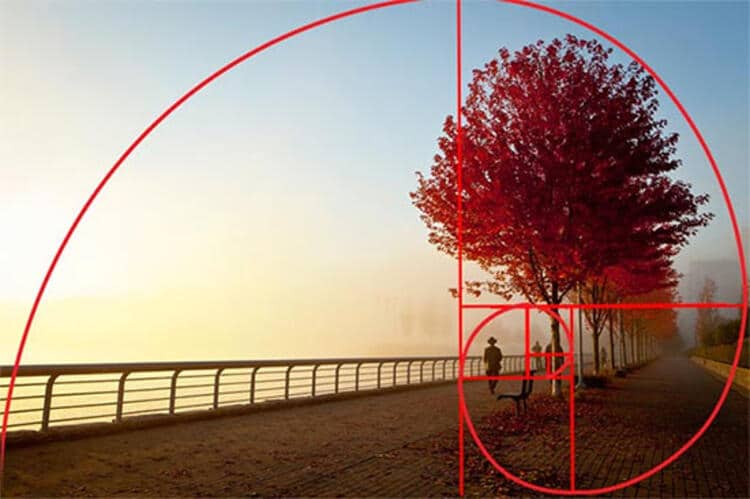 The Golden Ratio Is A Formula For Great Aesthetics