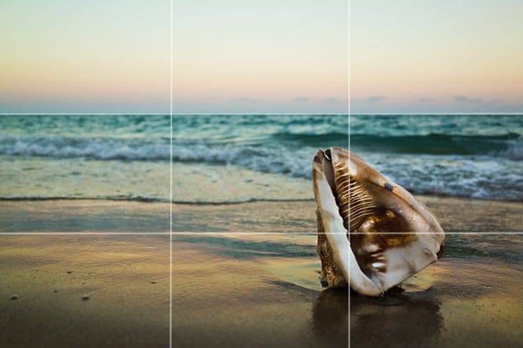 The Golden Ratio Is A Formula For Great Aesthetics