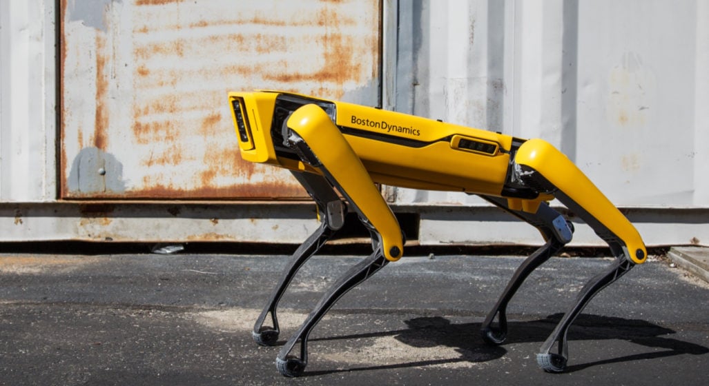 Bloke Takes US$75,000 Boston Dynamics Robotic Dog For A Walk