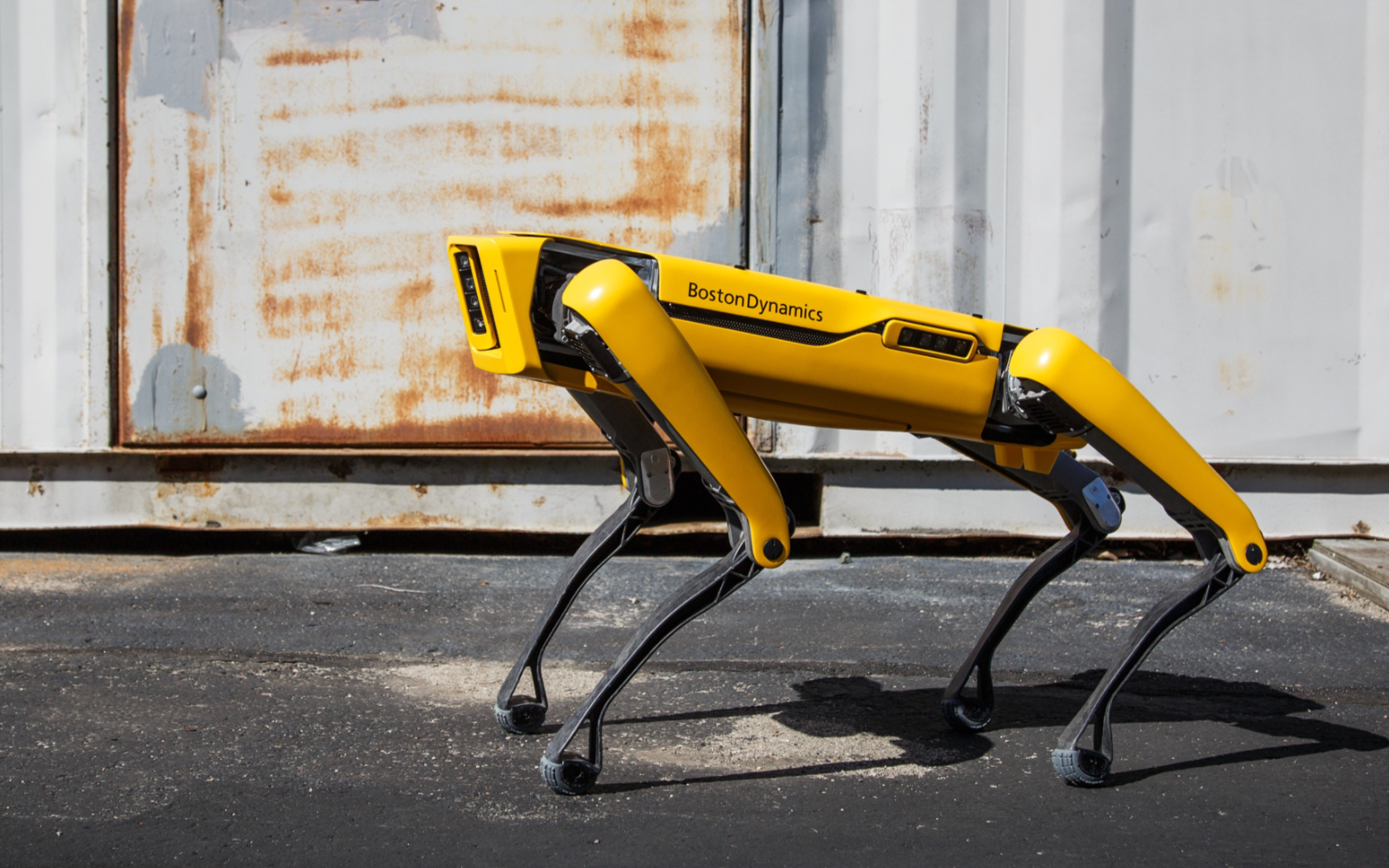 Boston Dynamics Robotic Dog 