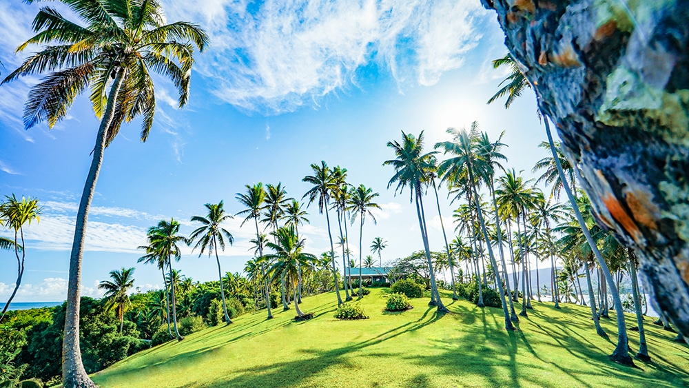 For Sale: The Unbelievably Pristine Mai Island, Fiji