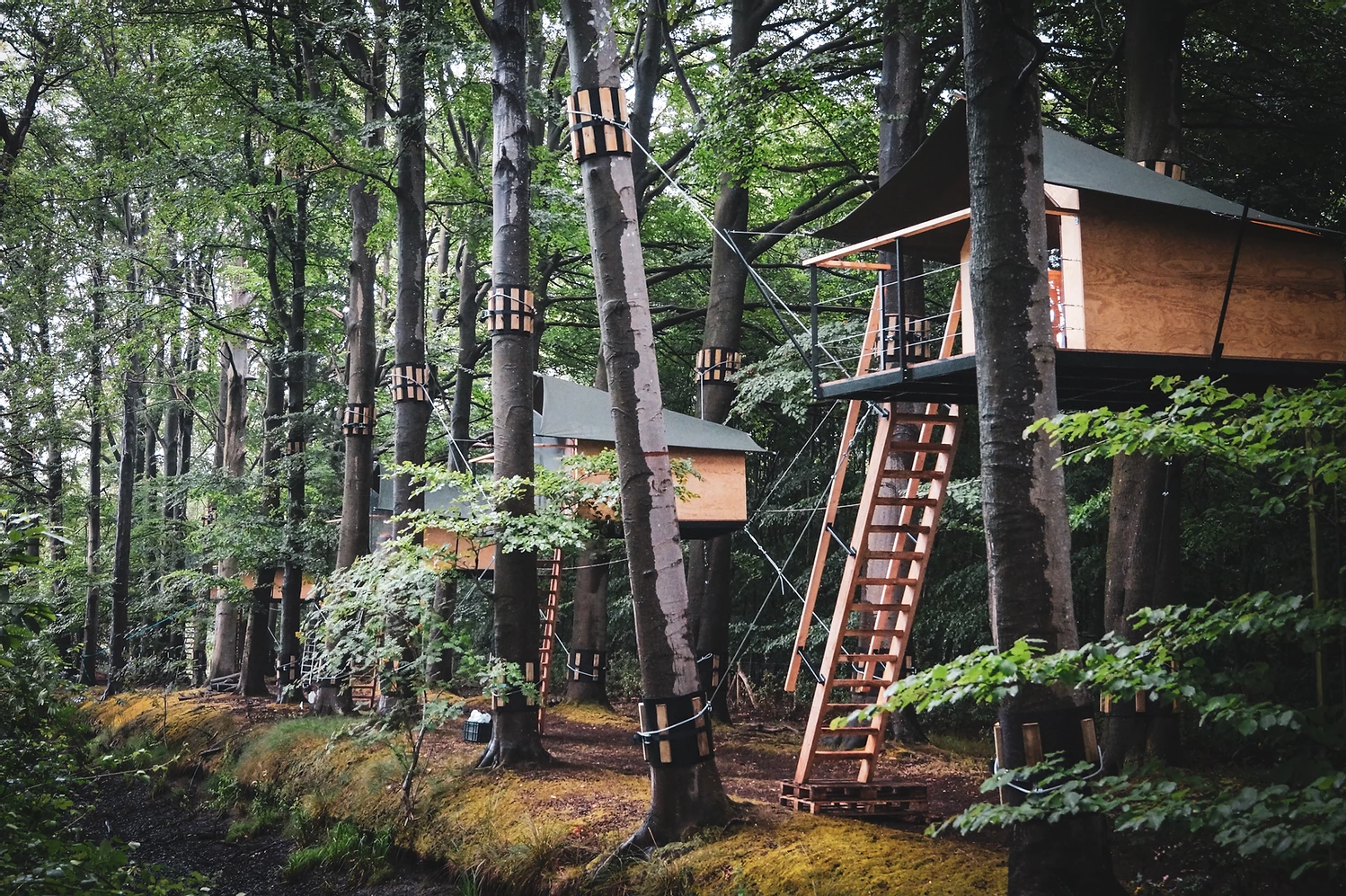 Boomkamp Treehouse Hotel Is All About The Simple Pleasures