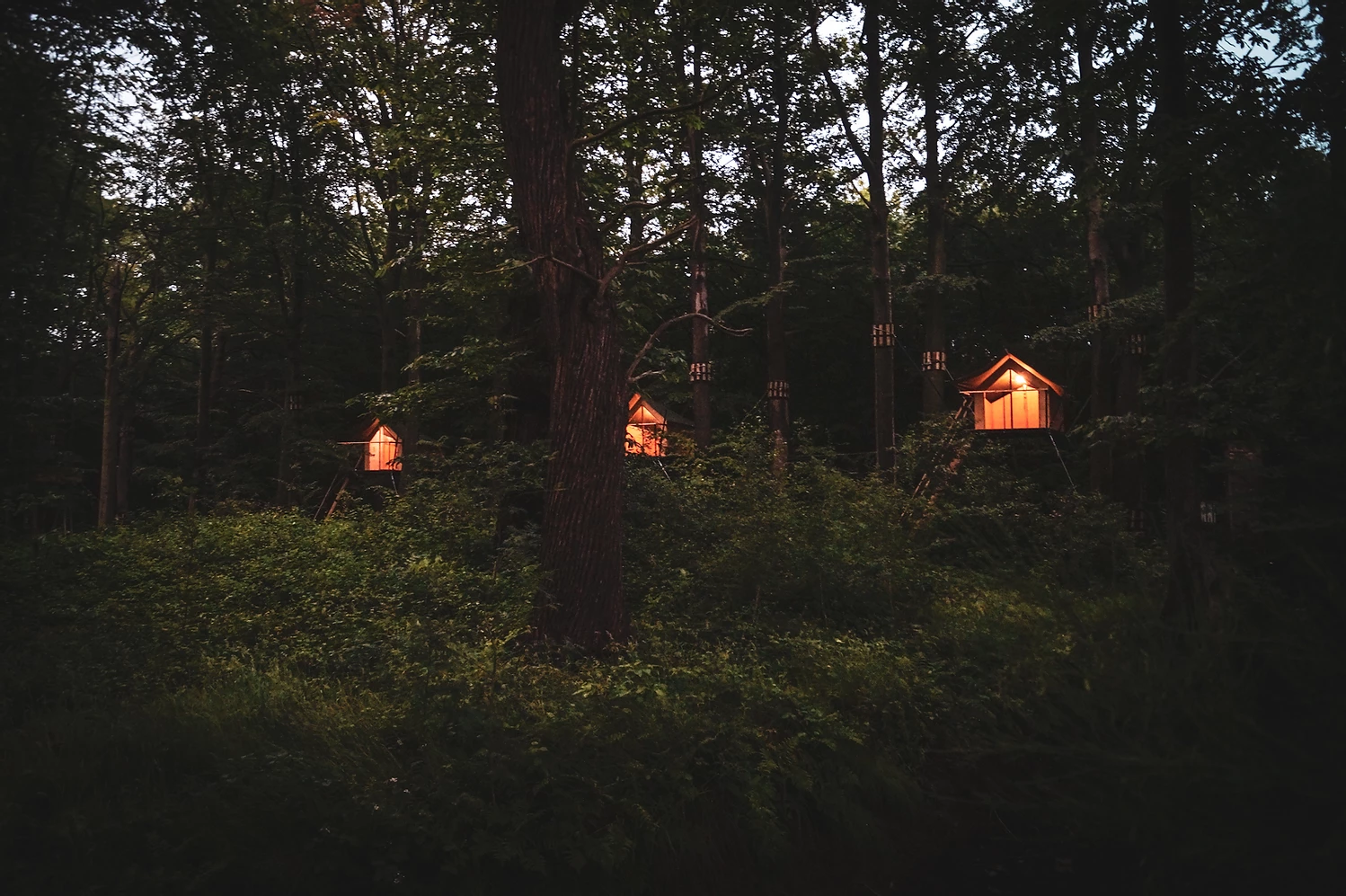 Boomkamp Treehouse Hotel Is All About The Simple Pleasures