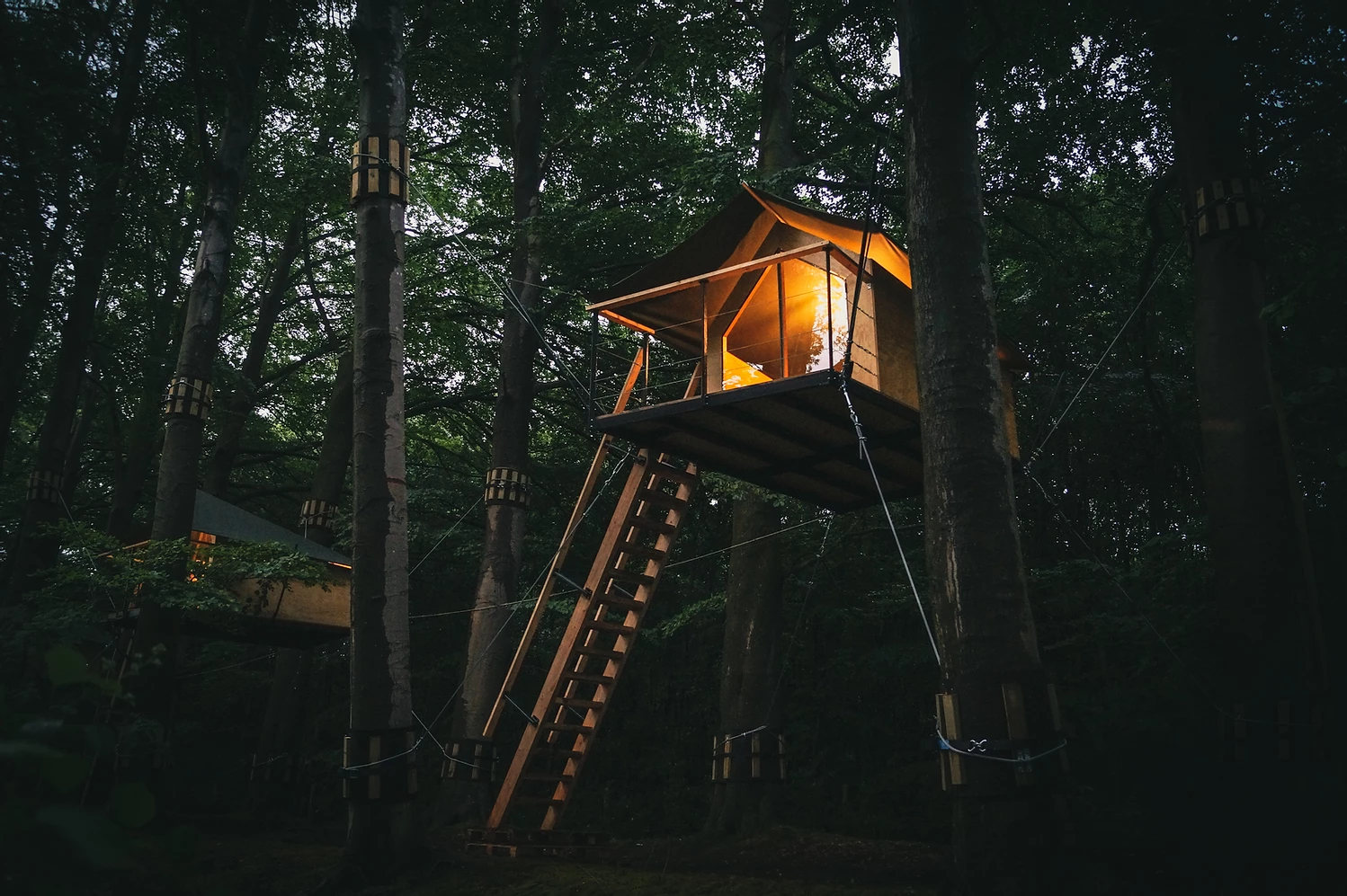 Boomkamp Treehouse Hotel Is All About The Simple Pleasures