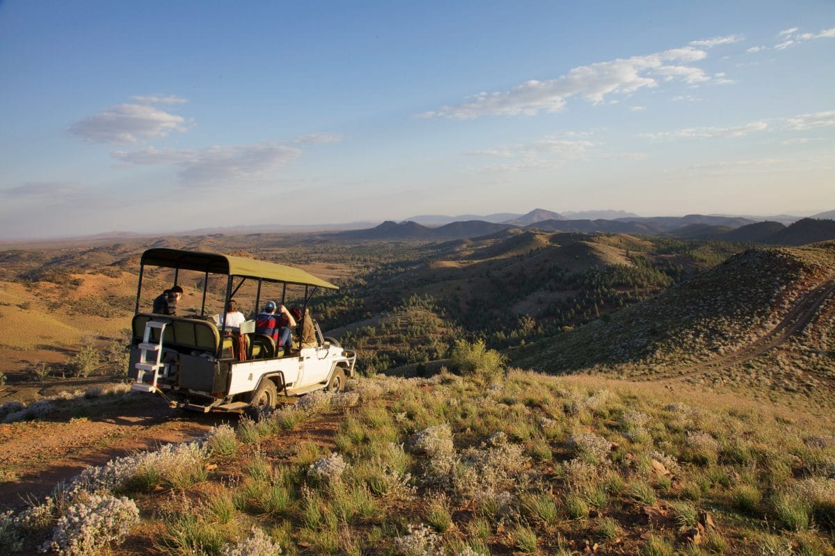 The Best Places To Safari In Australia