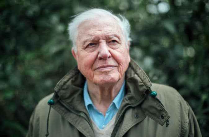 Sir David Attenborough Joins Instagram To Save The World