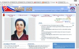 North Korea internet access