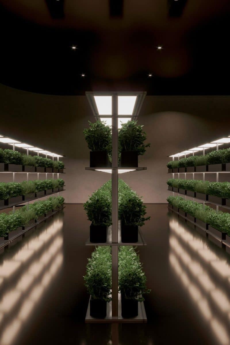 Underground House Plan B Is A Wildly Luxurious Doomsday Bunker